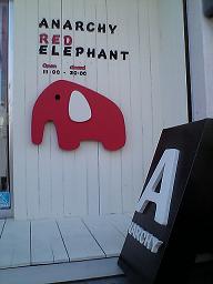 ANARCHY RED ELEPHANT　ぞう.JPG